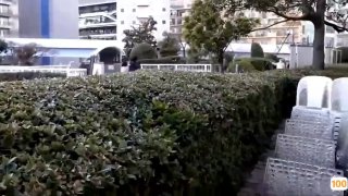 高清欧美日本亚洲网站_欧美亚洲精品成人视频